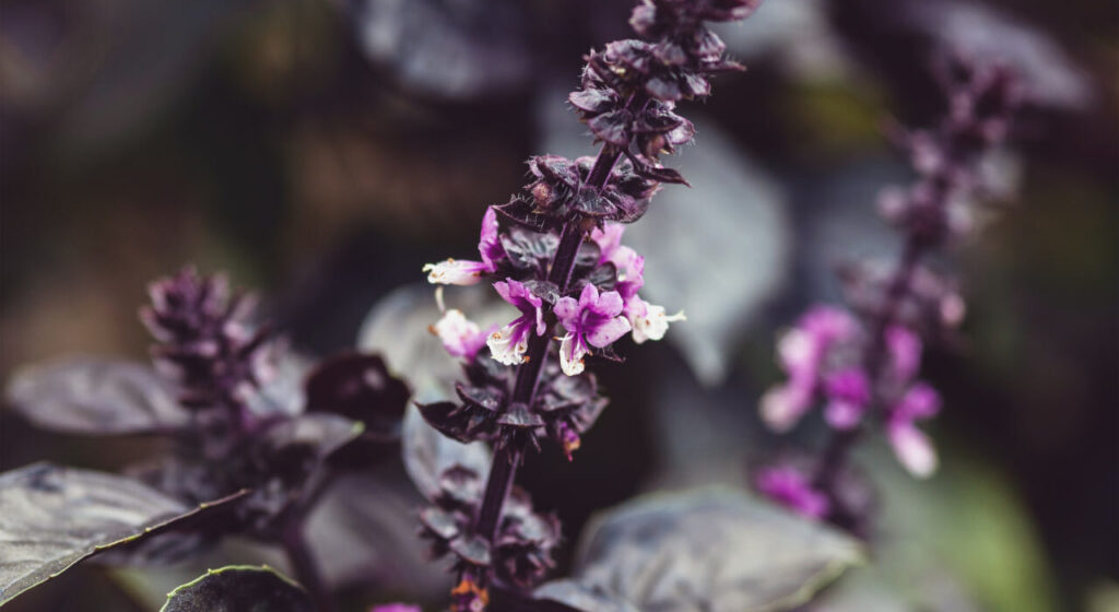 إذا كان الدين يسرا، فلماذا نشعر بالمشقة في الالتزام به؟