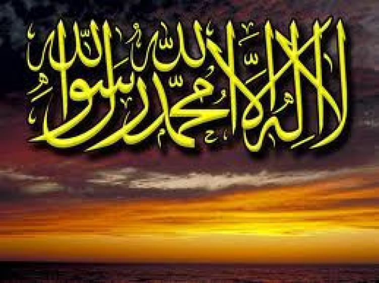 هل أنت سلفي ؟